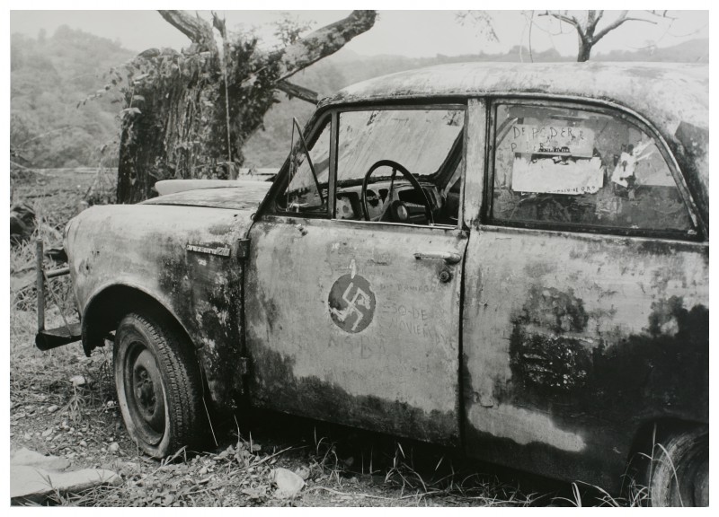Jungle Car