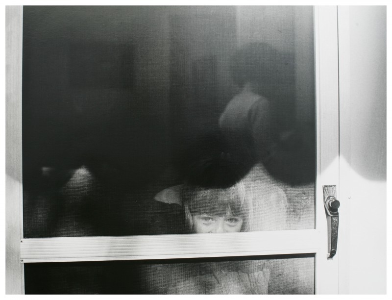 Screen Door