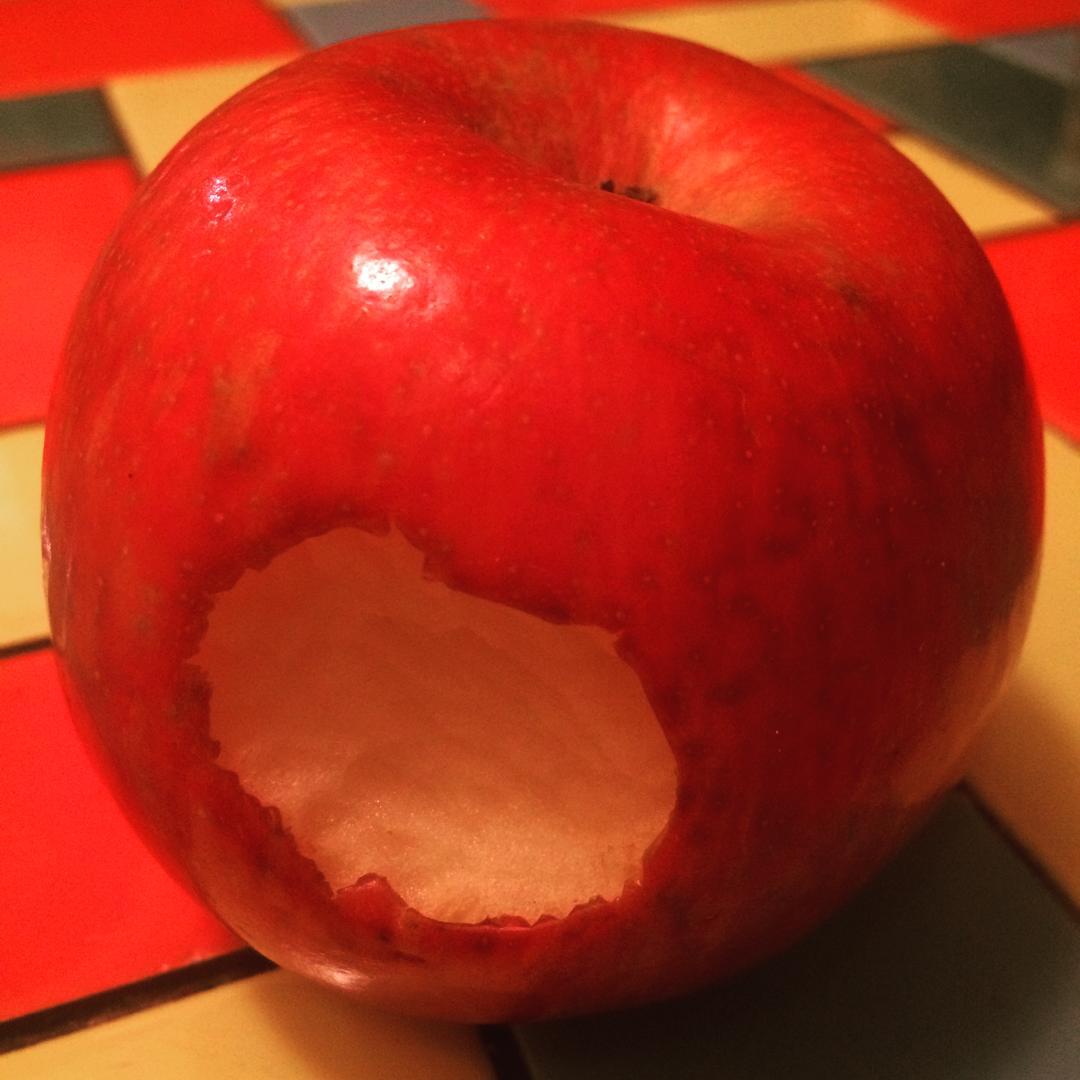 #Nell, our kitchen #mouse, is obvi #jewish and celebrating #roshhashanah because s/he ate this #apple tonight. S/he did the same last night. #happynewyear #iforgottoleaveouthoney #jewishmouse