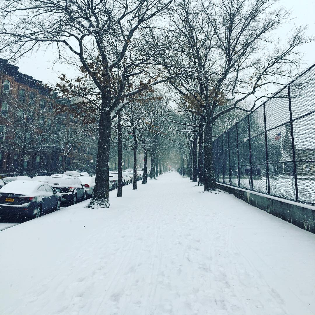 Oh right, and this was 24 hours ago... #prettyprettynewyorkcity #Brooklyn #gowanus #snow