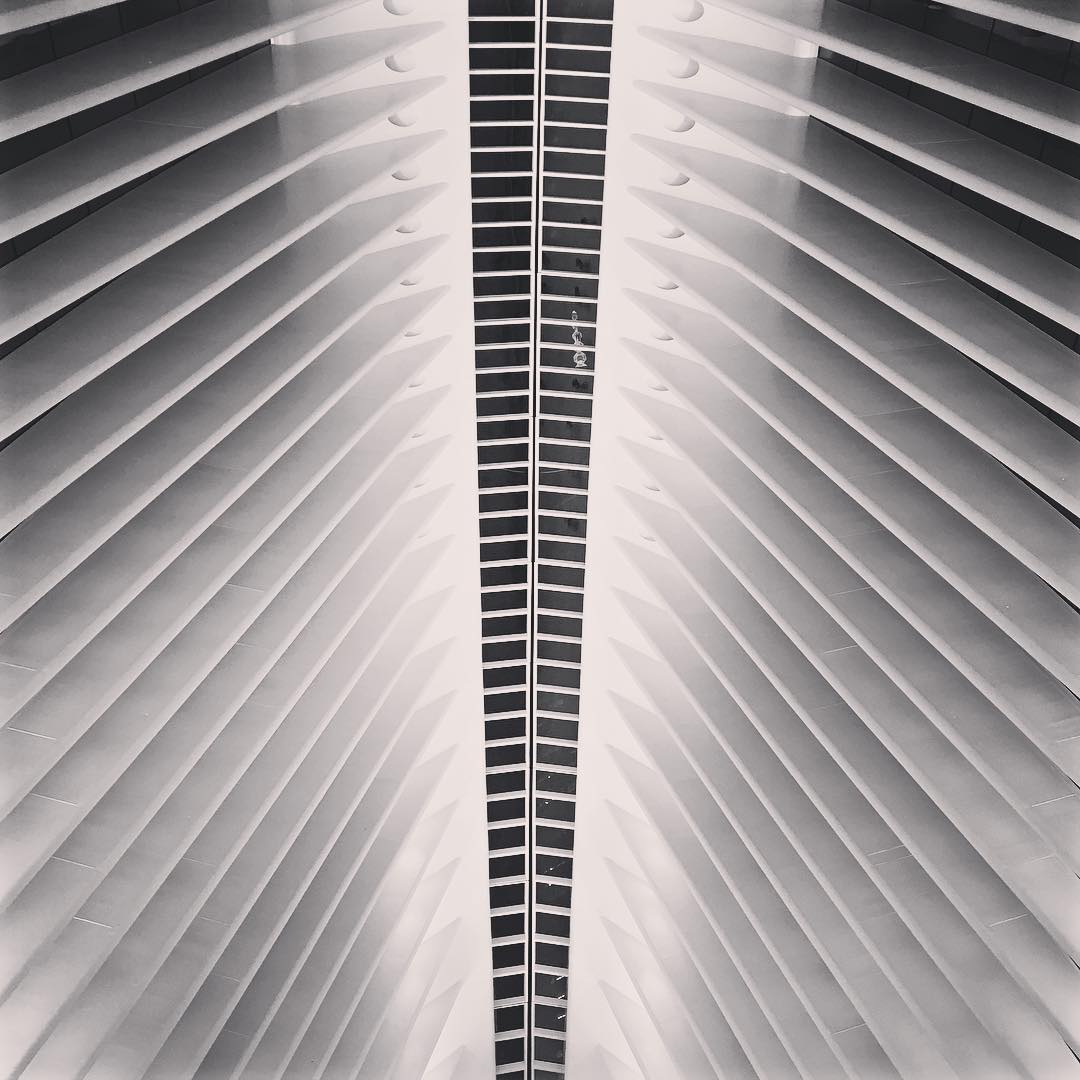 #oculus #calatrava #alien #fishbone #temple #mta #pathtrain #manhattan #prettyprettynewyorkcity #love_bnw